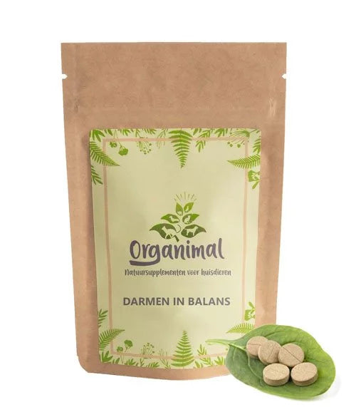 Darmen In Balans – Katten