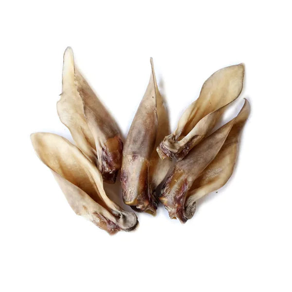 Deer ears