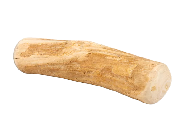 Coffee Wood Tree Root