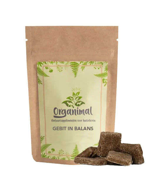 Gebit in Balans – Honden