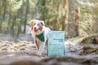 BUDDY Free-Range Duck 2 kg