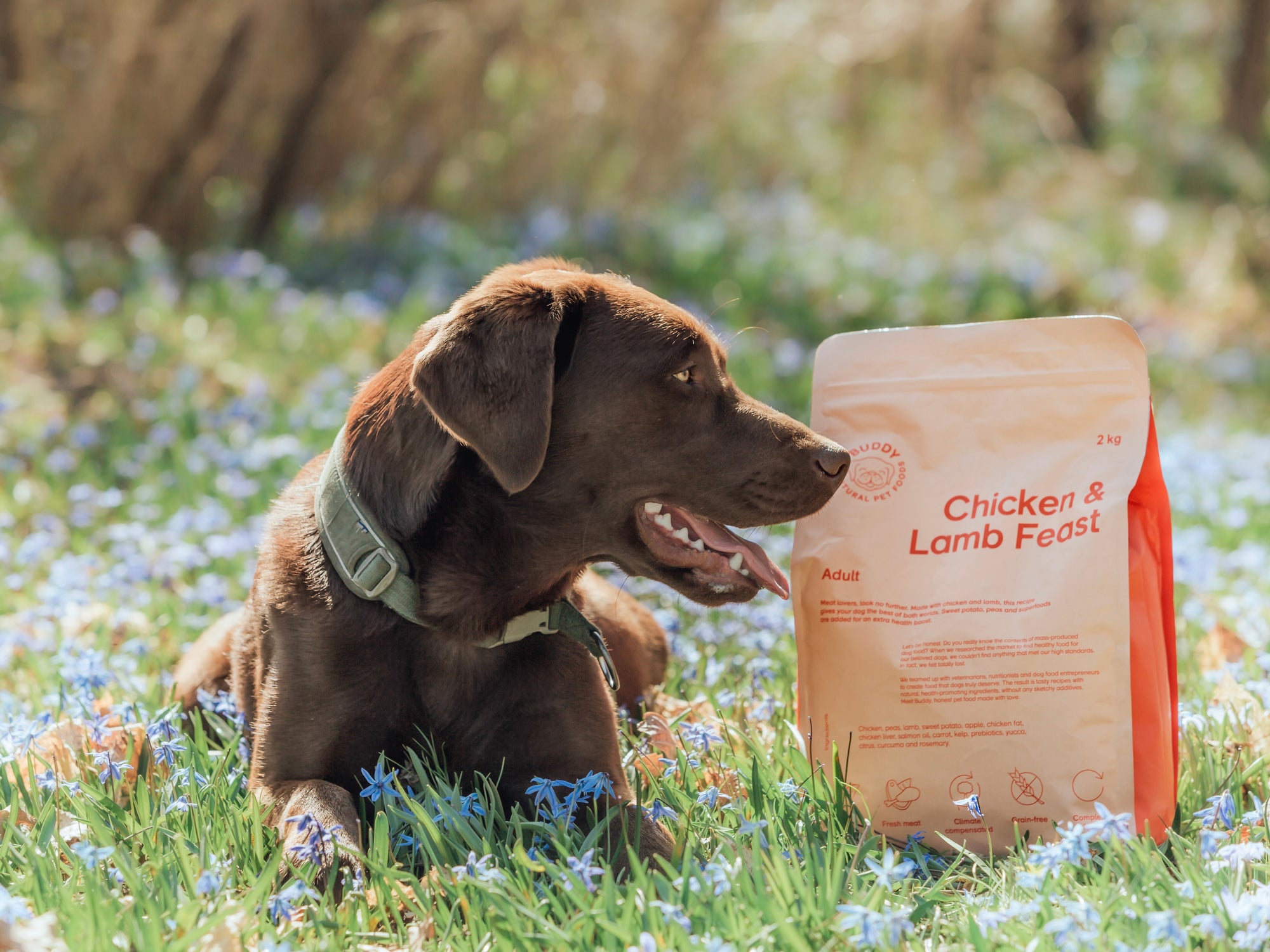 BUDDY Chicken + Lamb Feast 2 kg