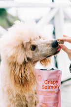 BUDDY Crunchy hondensnack Zalm met blauwe bessen 150 gr.