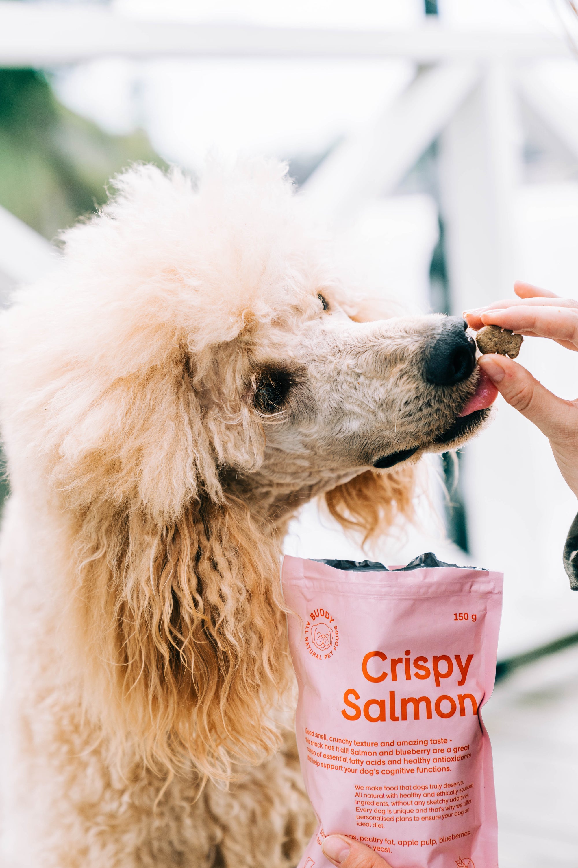 BUDDY Crunchy hondensnack Zalm met blauwe bessen 150 gr.
