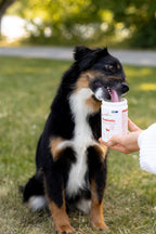 BUDDY Care Probiotic 150 gr.