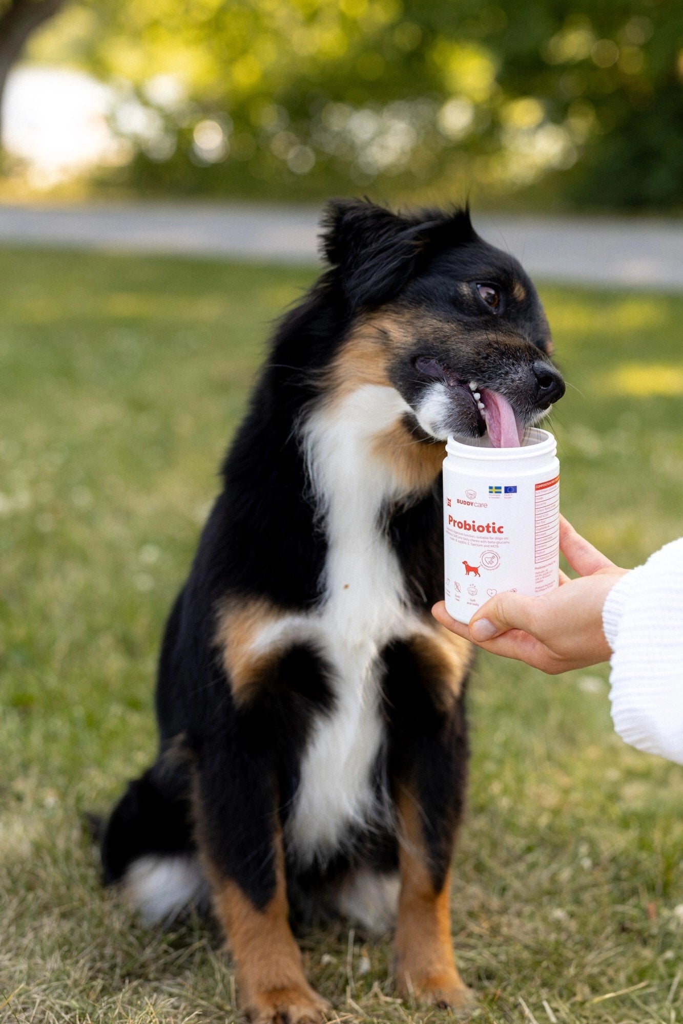 BUDDY Care Probiotic 150 gr.