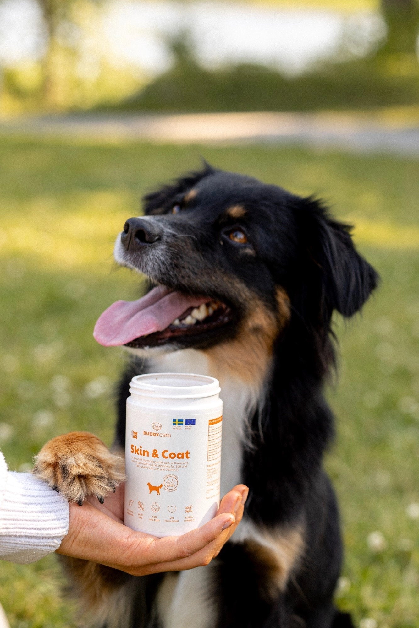 Buddy Care Skin & Coat 150 gr.