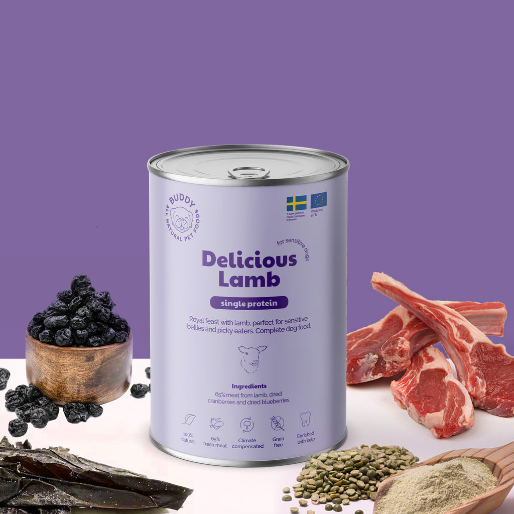 BUDDY Natvoeding Delicious Lamb 400 gr. - per 6 stuks