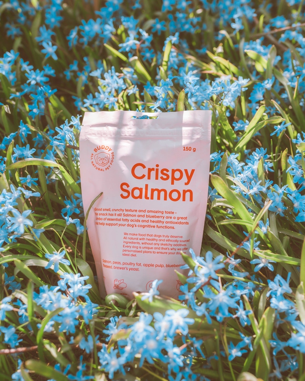 BUDDY Crunchy hondensnack Zalm met blauwe bessen 150 gr.