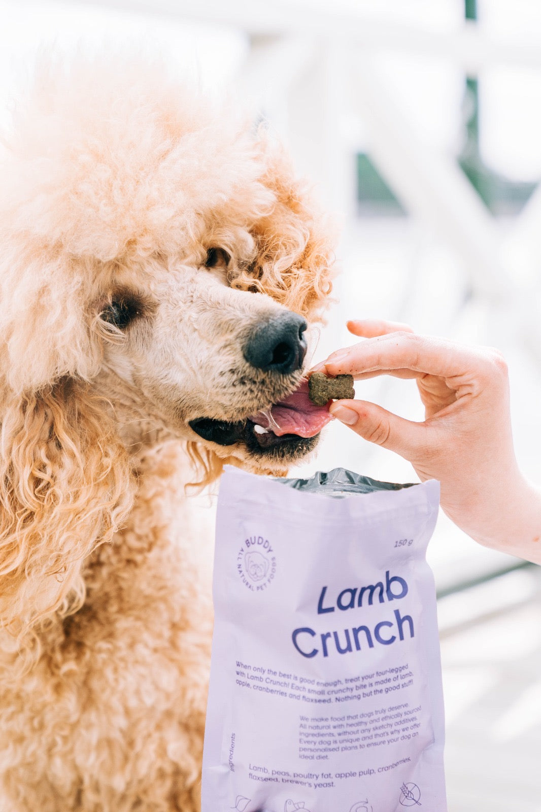 BUDDY Crunchy hondensnack Lam met veenbessen 150 gr.