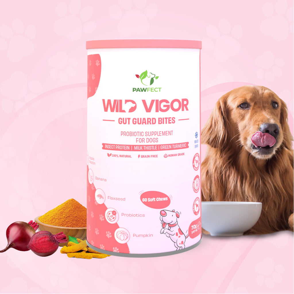 Pawfect supplements Wild Vigor Gut Guard 60 Pcs.