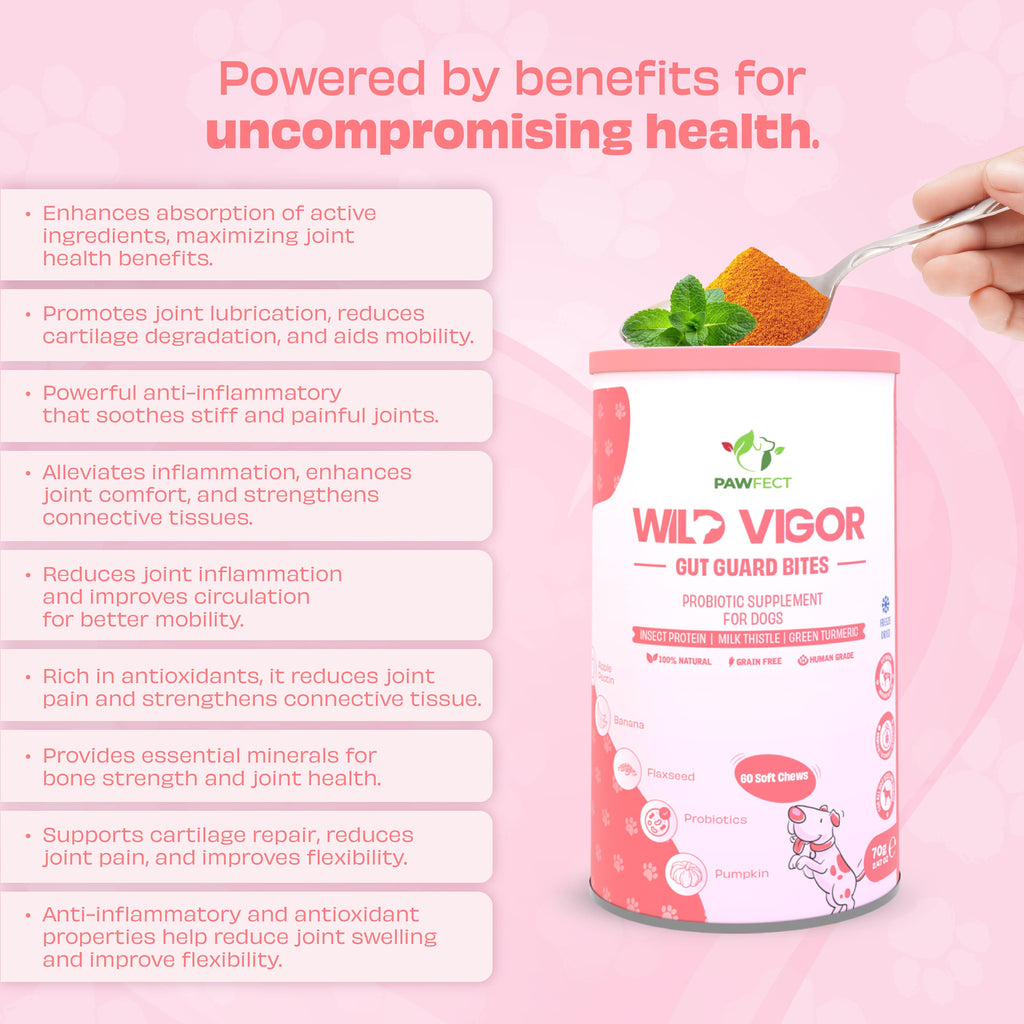 Pawfect supplements Wild Vigor Gut Guard 60 Pcs.