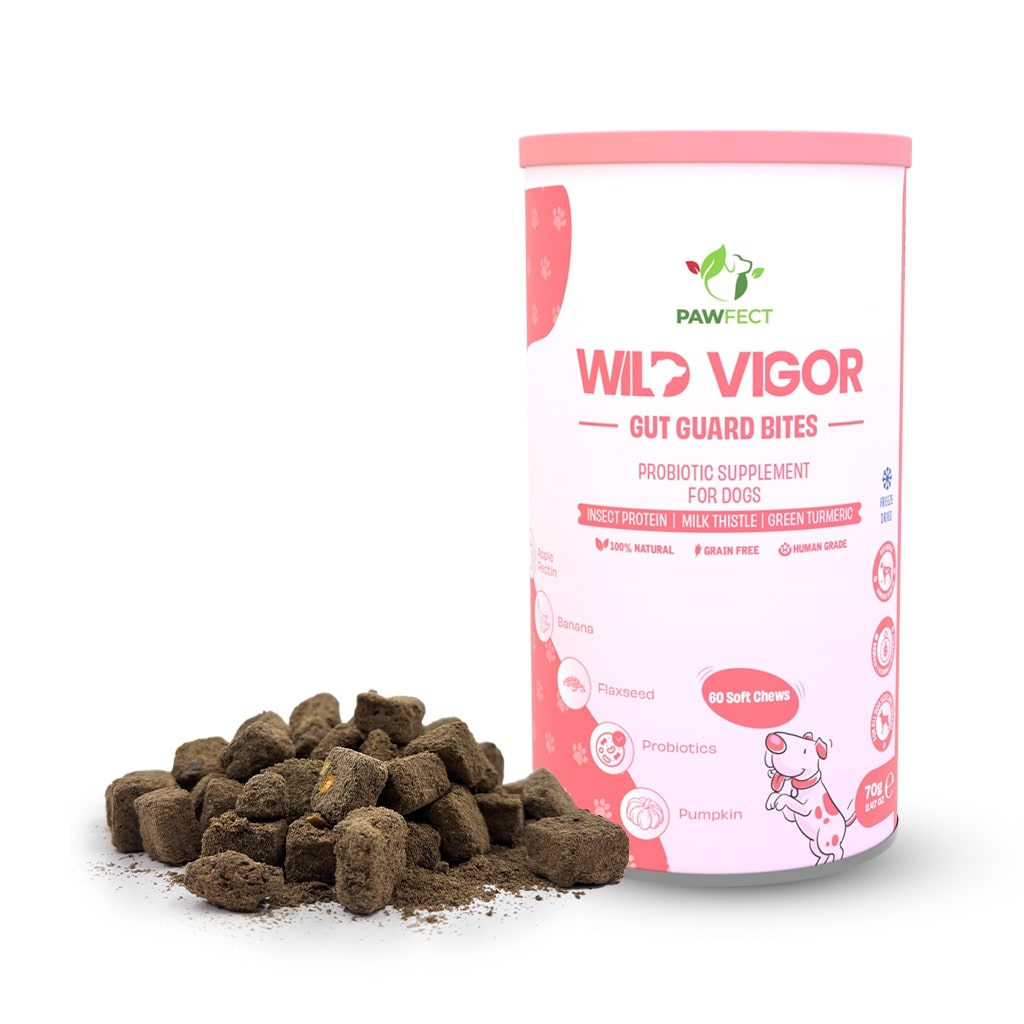 Pawfect supplements Wild Vigor Gut Guard 60 Pcs.