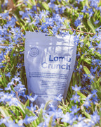 BUDDY Crunchy hondensnack Lam met veenbessen 150 gr.