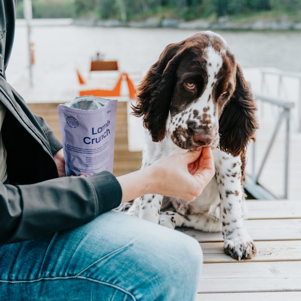 BUDDY Crunchy hondensnack Lam met veenbessen 150 gr.