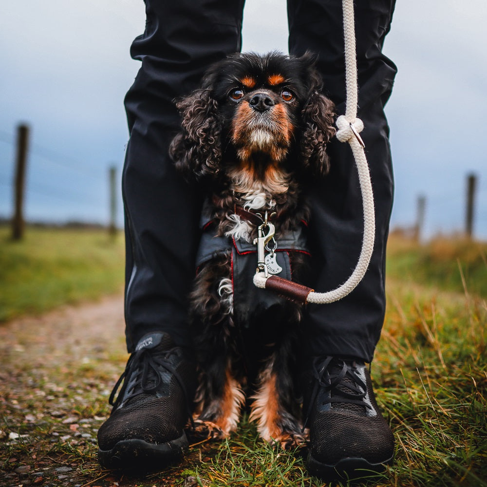 Verstelbare Hondenriem | Touw | Ecru | Kleine honden | Just Cotton 8mm