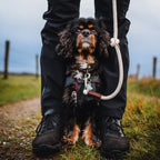 Verstelbare Hondenriem | Touw | Ecru | Kleine honden | Just Cotton 8mm