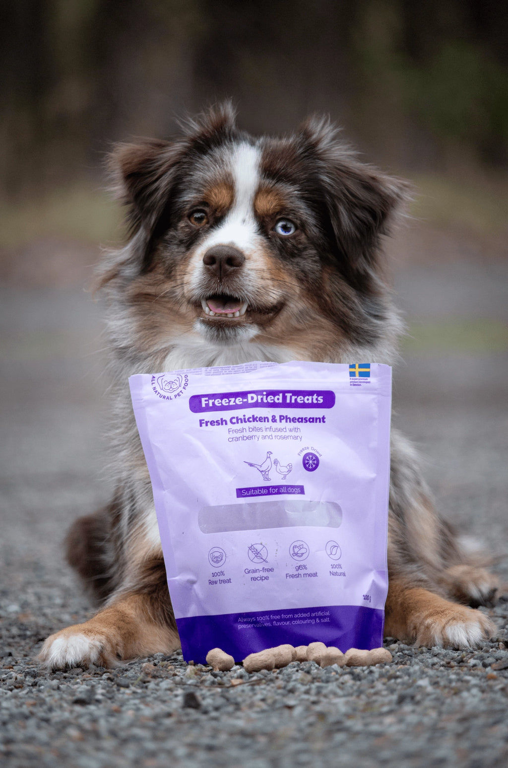 BUDDY Freeze Dried hondensnack Kip & Fazant 100 gr.