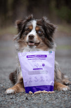 BUDDY Freeze Dried hondensnack Kip & Fazant 100 gr.