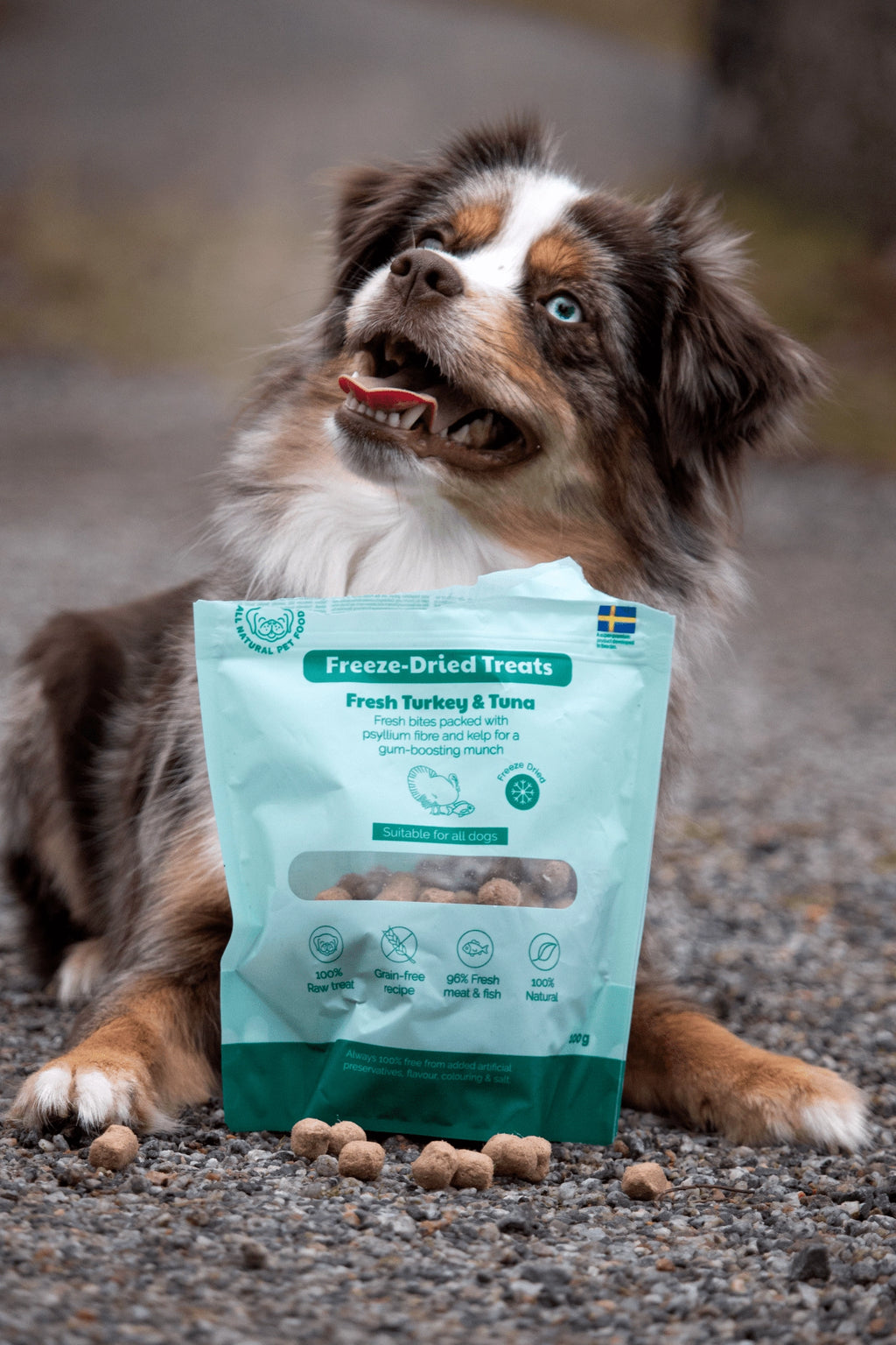 BUDDY Freeze Dried hondensnack Kalkoen & Tonijn 100 gr.