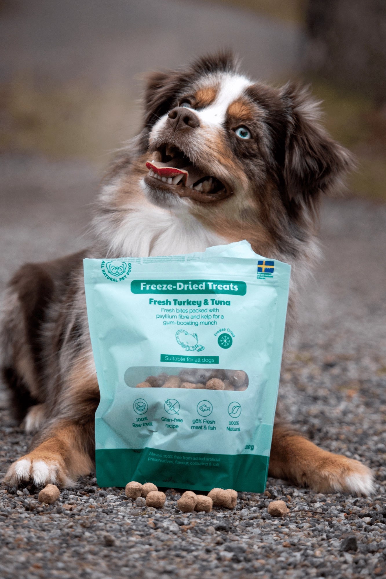 BUDDY Freeze Dried hondensnack Kalkoen & Tonijn 100 gr.
