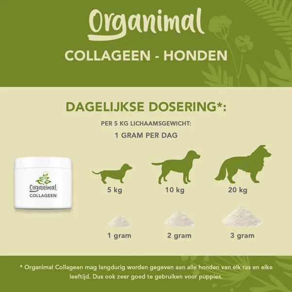 Organimal Collagen – Dogs