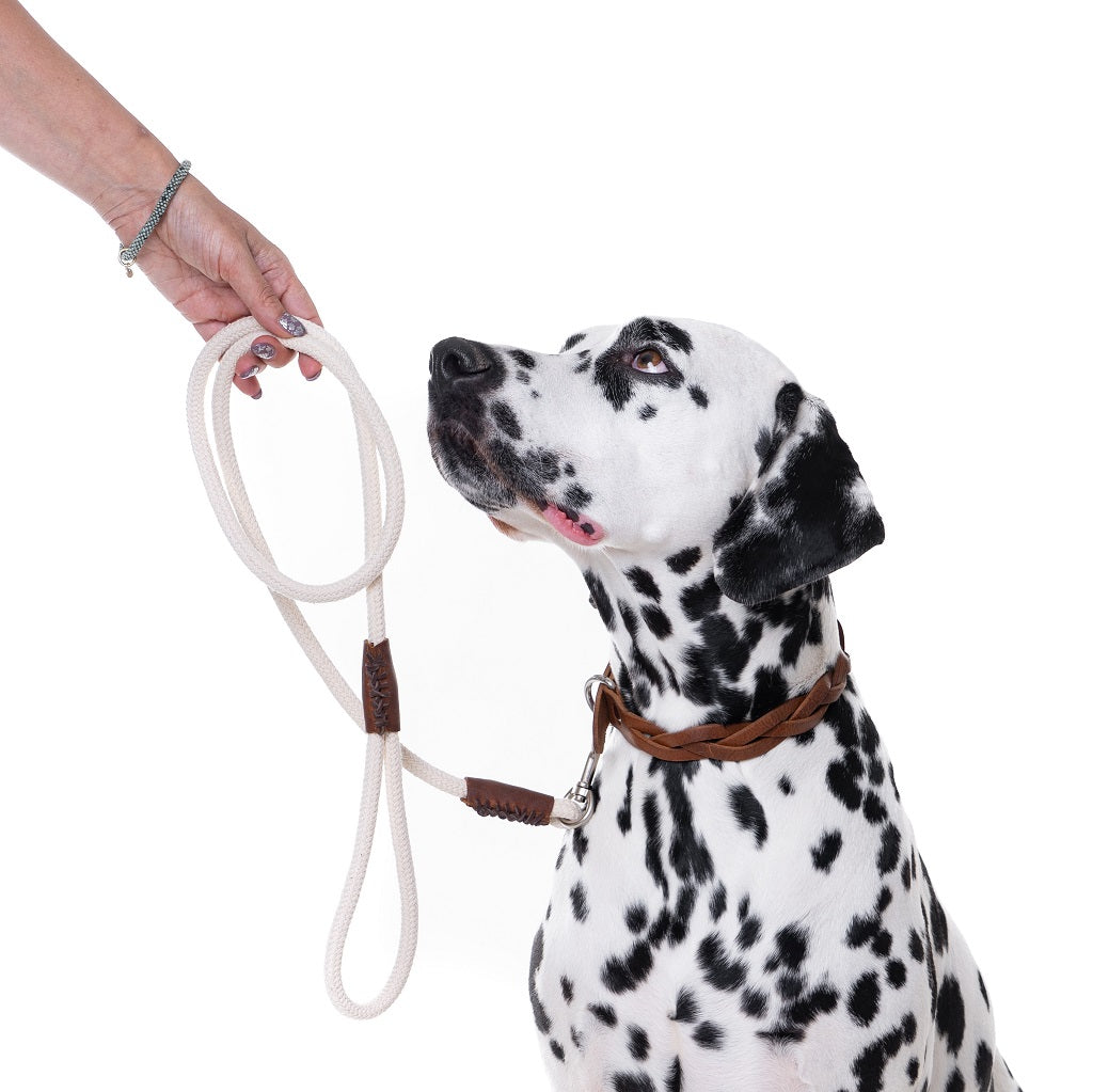 Just Cotton Hondenriem - Cooper & Quint