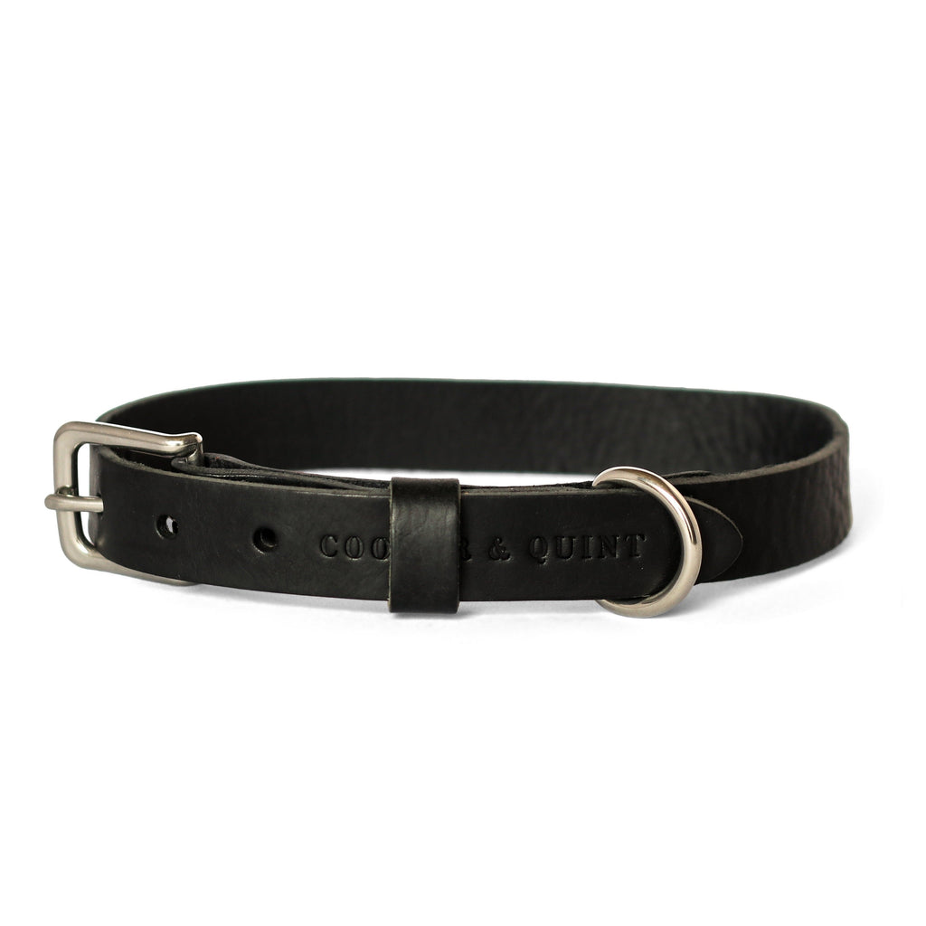 No Fuss Halsband Hond Leer Zwart - Cooper & Quint