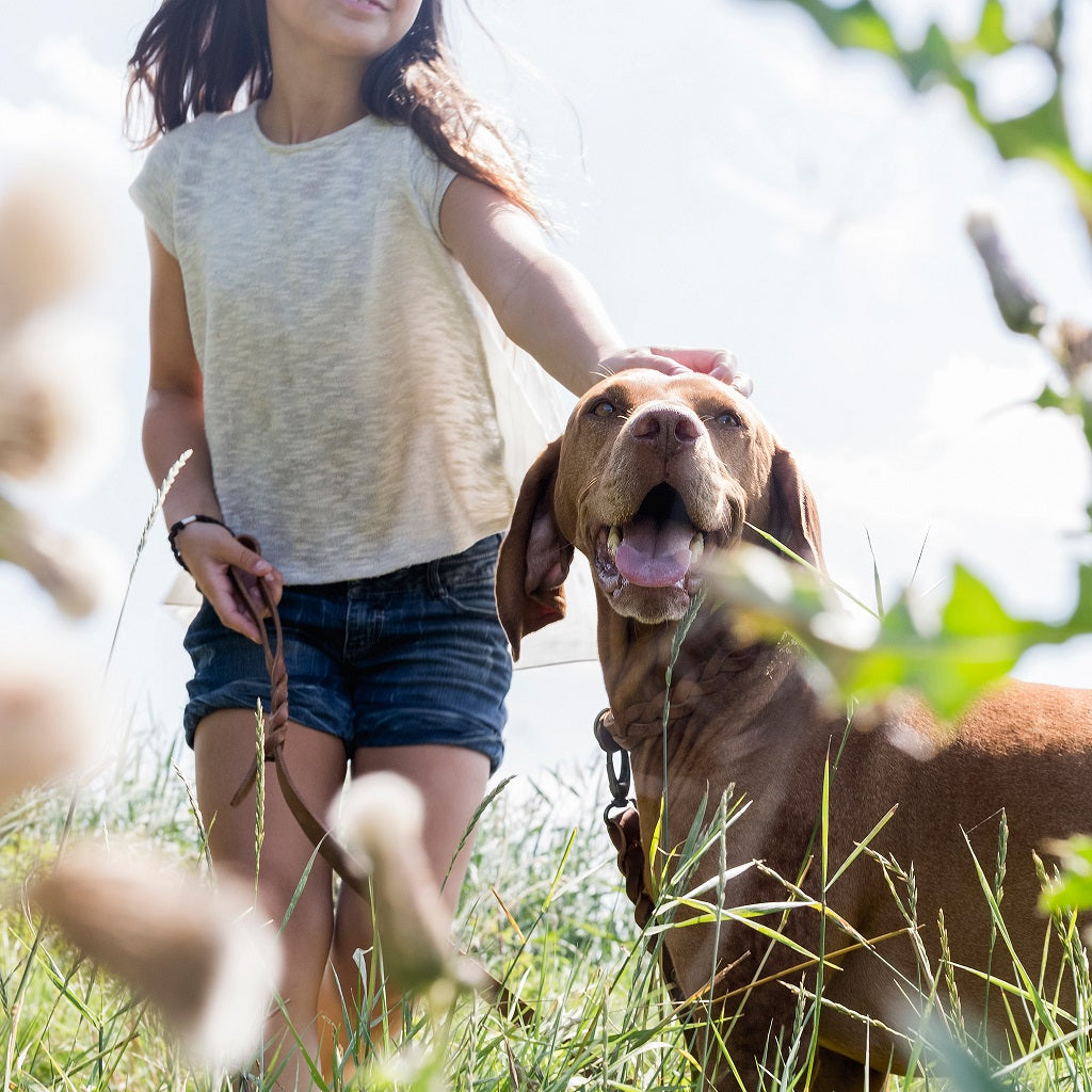 Twisted Hondenriem Camel - Cooper & Quint