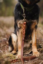 Twisted Hondenriem Bruin - Cooper & Quint