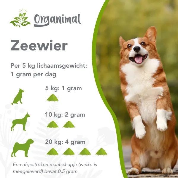 Organimal Zeewier – Honden