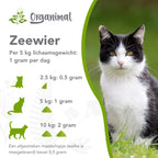 Organimal Zeewier – Katten