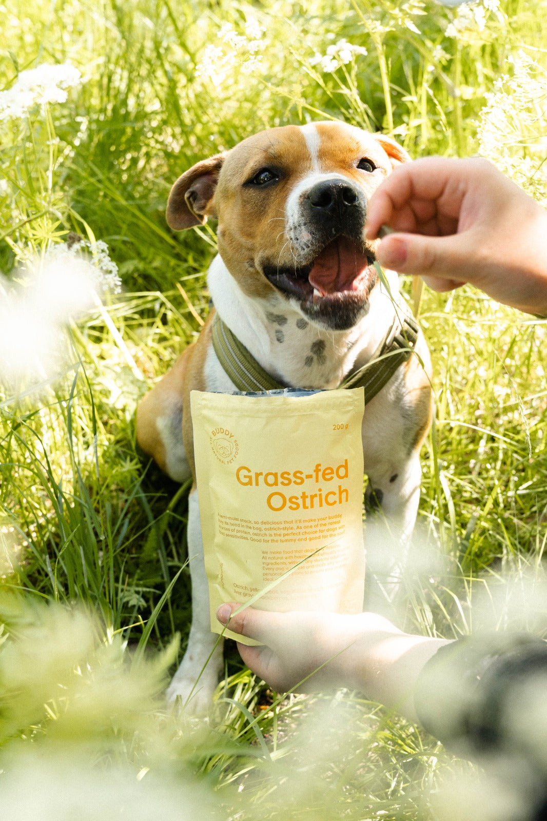 BUDDY Semi-moist hondensnack Struisvogel met bramen 200 gr.