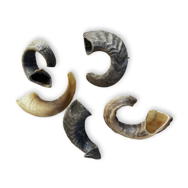 Ramshoorn