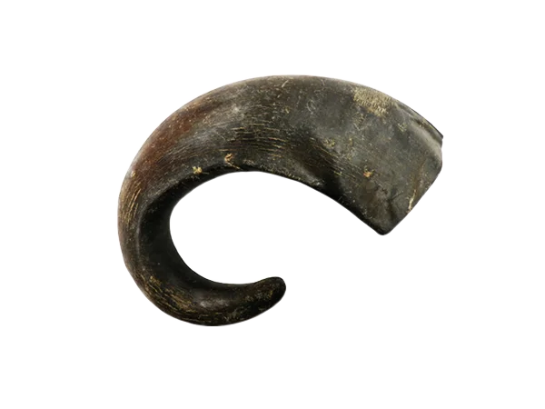 Buffalo horn