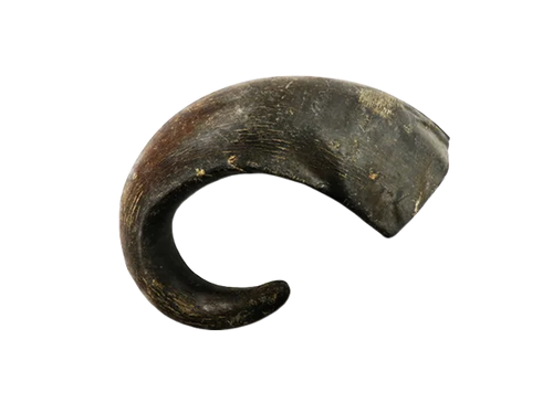 Buffalo horn