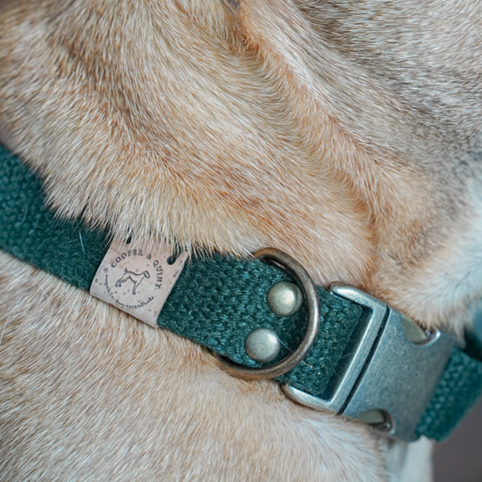 Simply Hemp Halsband Hond | Bosgroen - Cooper & Quint