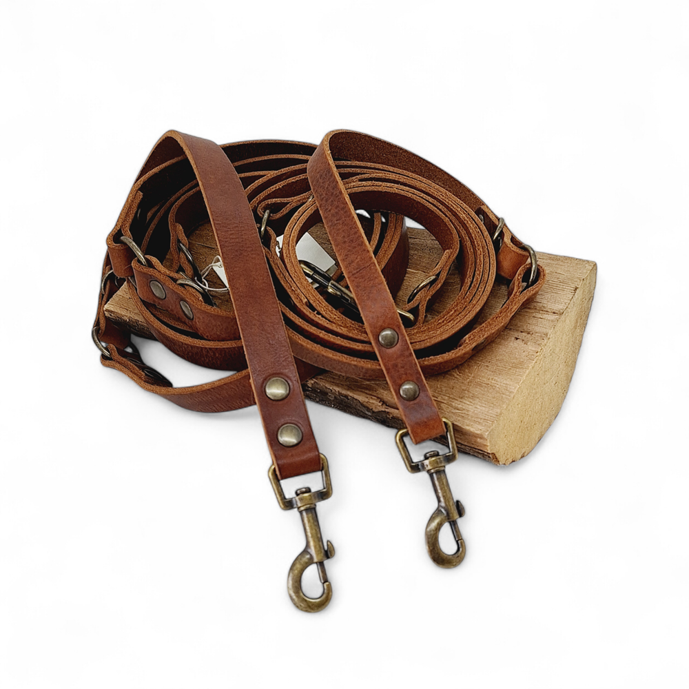 Switch Verstelbare Leren Hondenriem Bruin