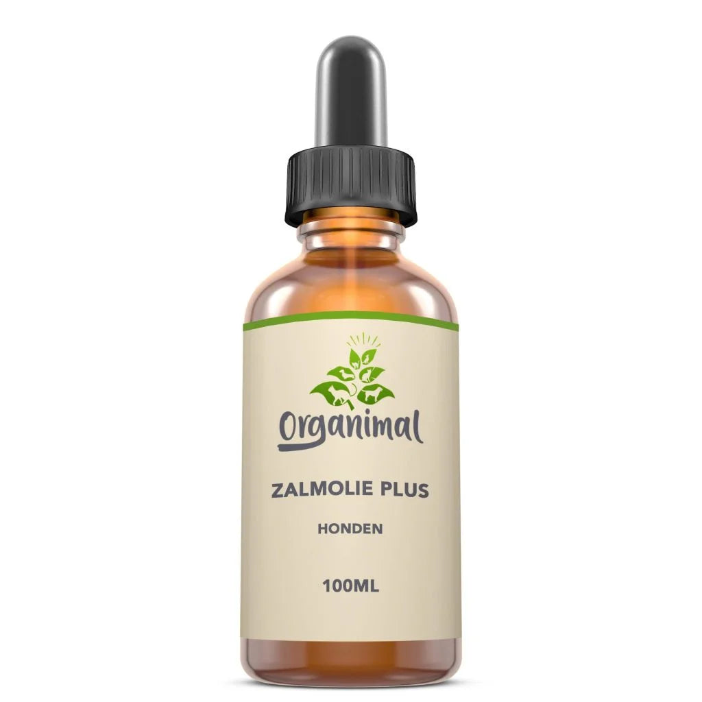 Organimal Salmon Oil Plus – Dogs