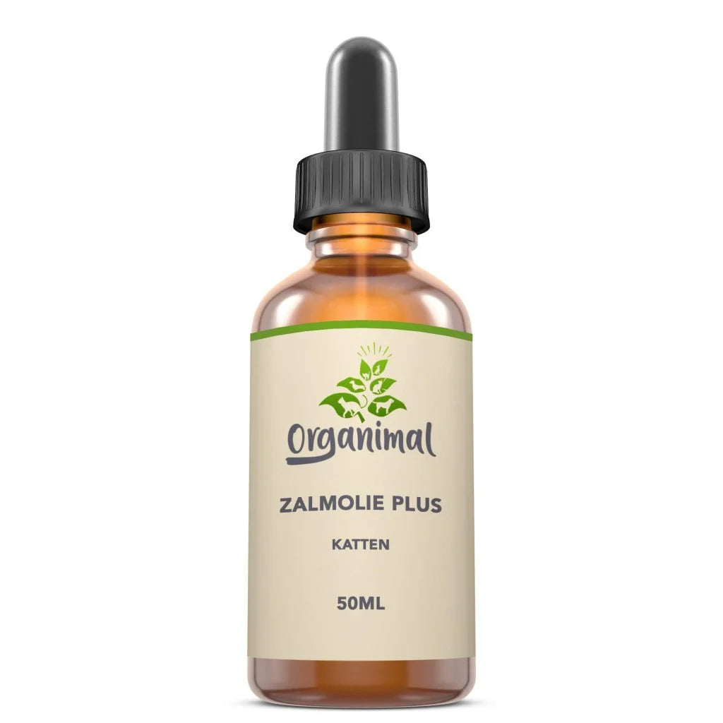 Organimal Salmon Oil Plus – Cats