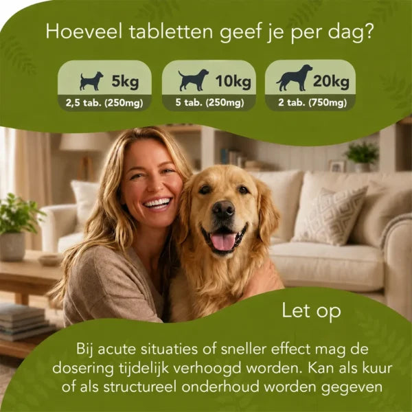 Intestines in Balance – Dogs