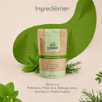 Intestines in Balance – Dogs