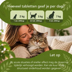 Intestines in Balance – Cats