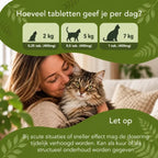Gedrag In Balans – Katten