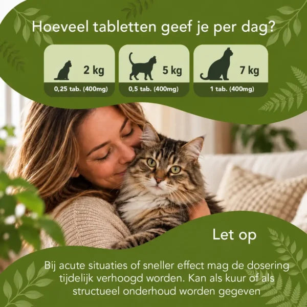Gedrag In Balans – Katten