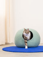 Fijne kattengrot