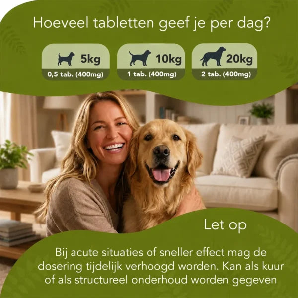Gedrag In Balans – Honden
