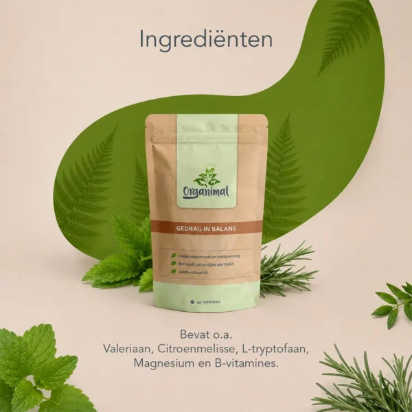 Gedrag In Balans – Honden