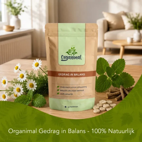 Gedrag In Balans – Honden