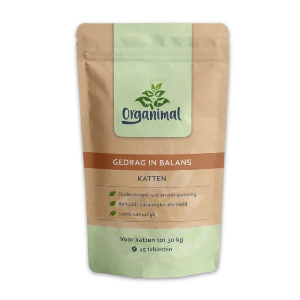 Gedrag In Balans – Katten